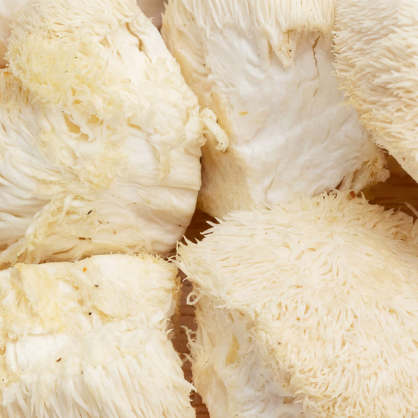 Лъвска грива